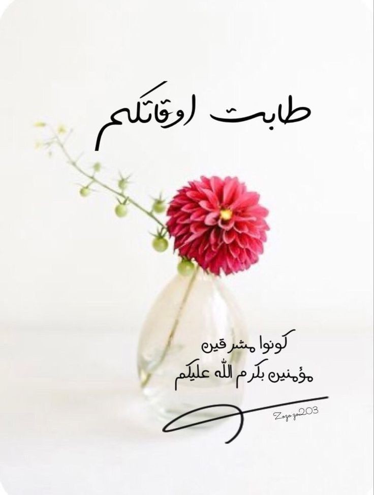 اللهم بارك لنا فى اوقاتنا وأعمالنا 🌺
طابت اوقاتكم بكل الخير🌹