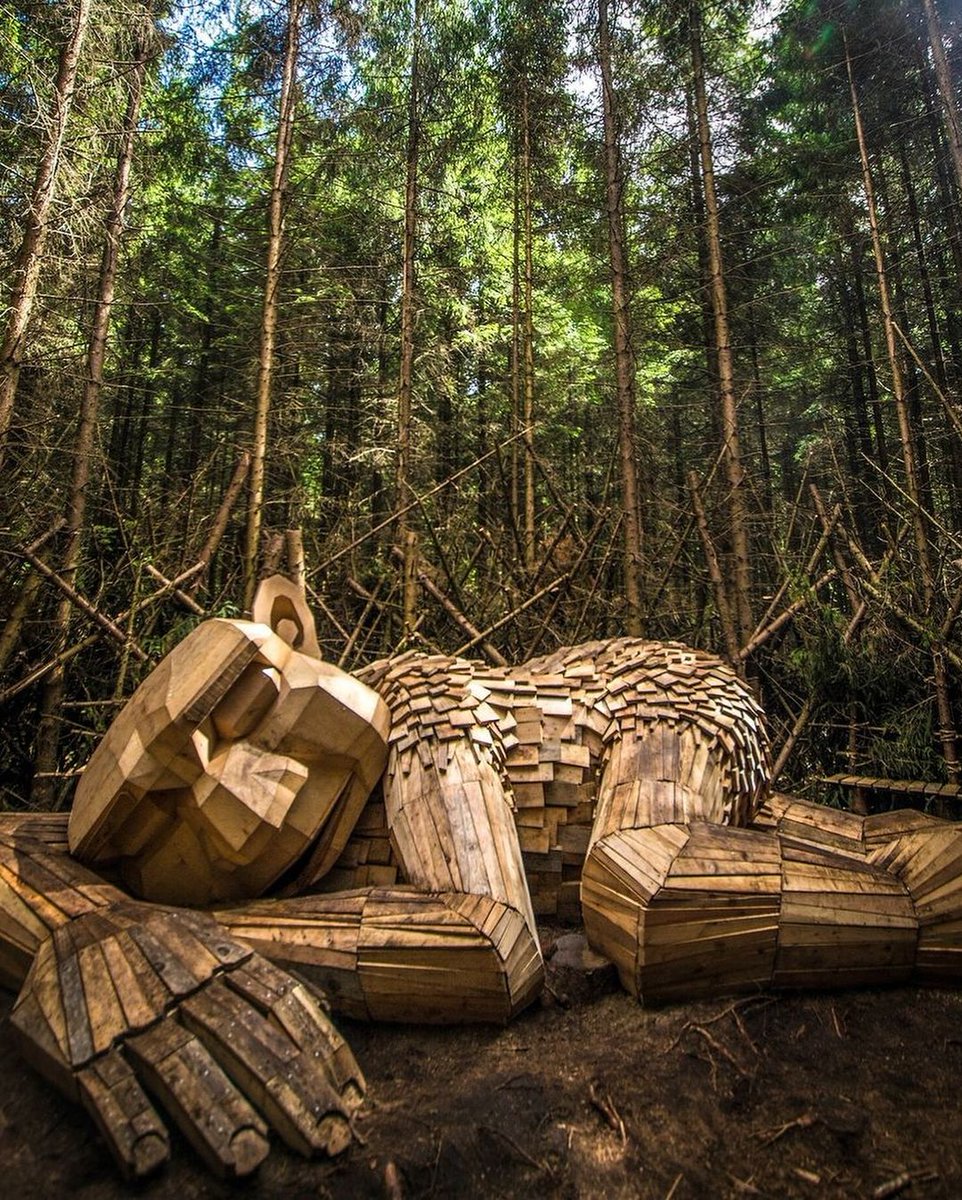 GreenDrinksBA's tweet photo. Thomas Dambo y 300 voluntarios crearon en Minnesota 5 trolls gigantes y un conejo dorado 🐇 con 25 toneladas de madera reciclada. Estas esculturas alcanzan 12 metros de altura y reinventan el espacio público ♻️.

👉 ¿Conocías su obra? #ArteSostenible #GreenDrinksBA https://t.co/vEqIluQF8f