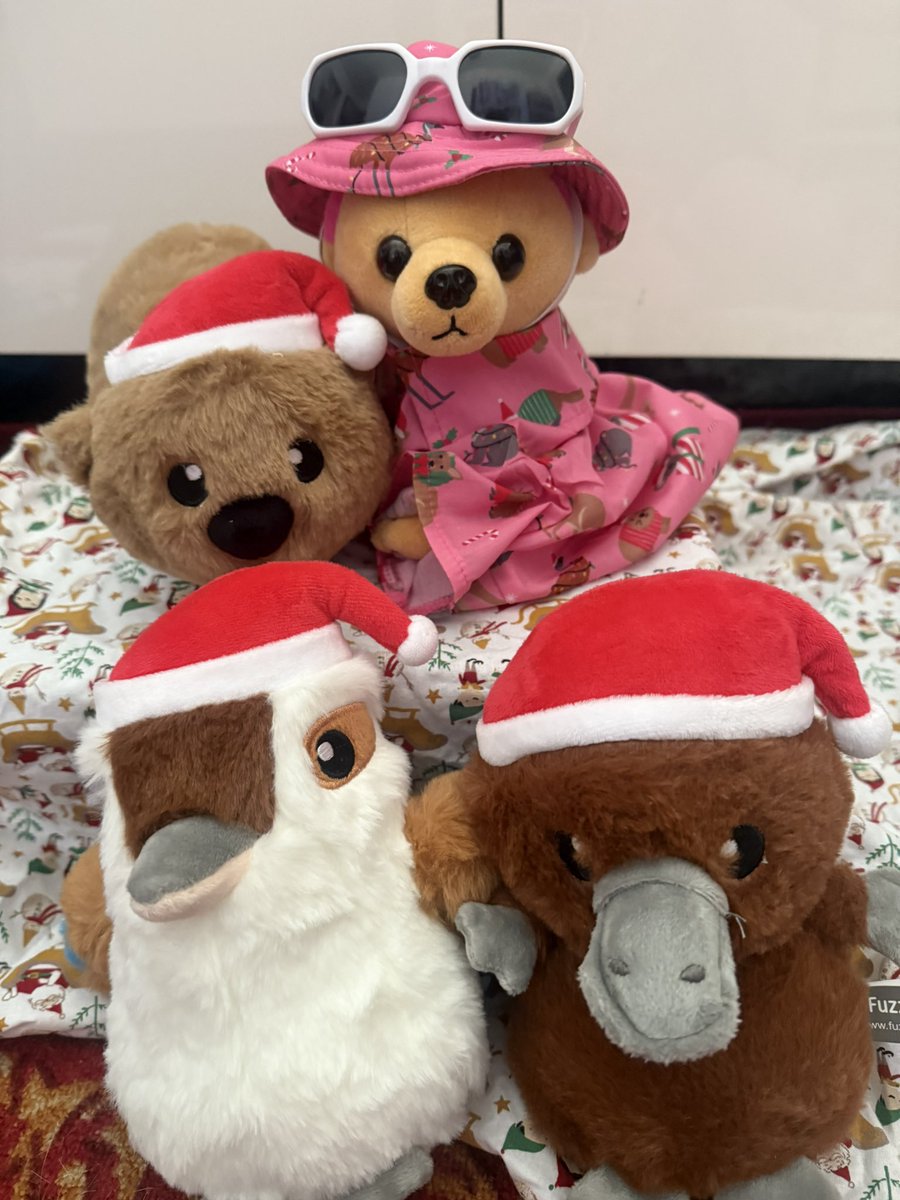 Mini_Tink_'s tweet image. Hanging out with my new friends 
Ka-Tree_Na the Kokaburra, 
A-Wreatha the Platypus and Felix Navidad the Wombat

 #minitink #dogsoftwitter #plushiesoftwitter #tatertotsquad