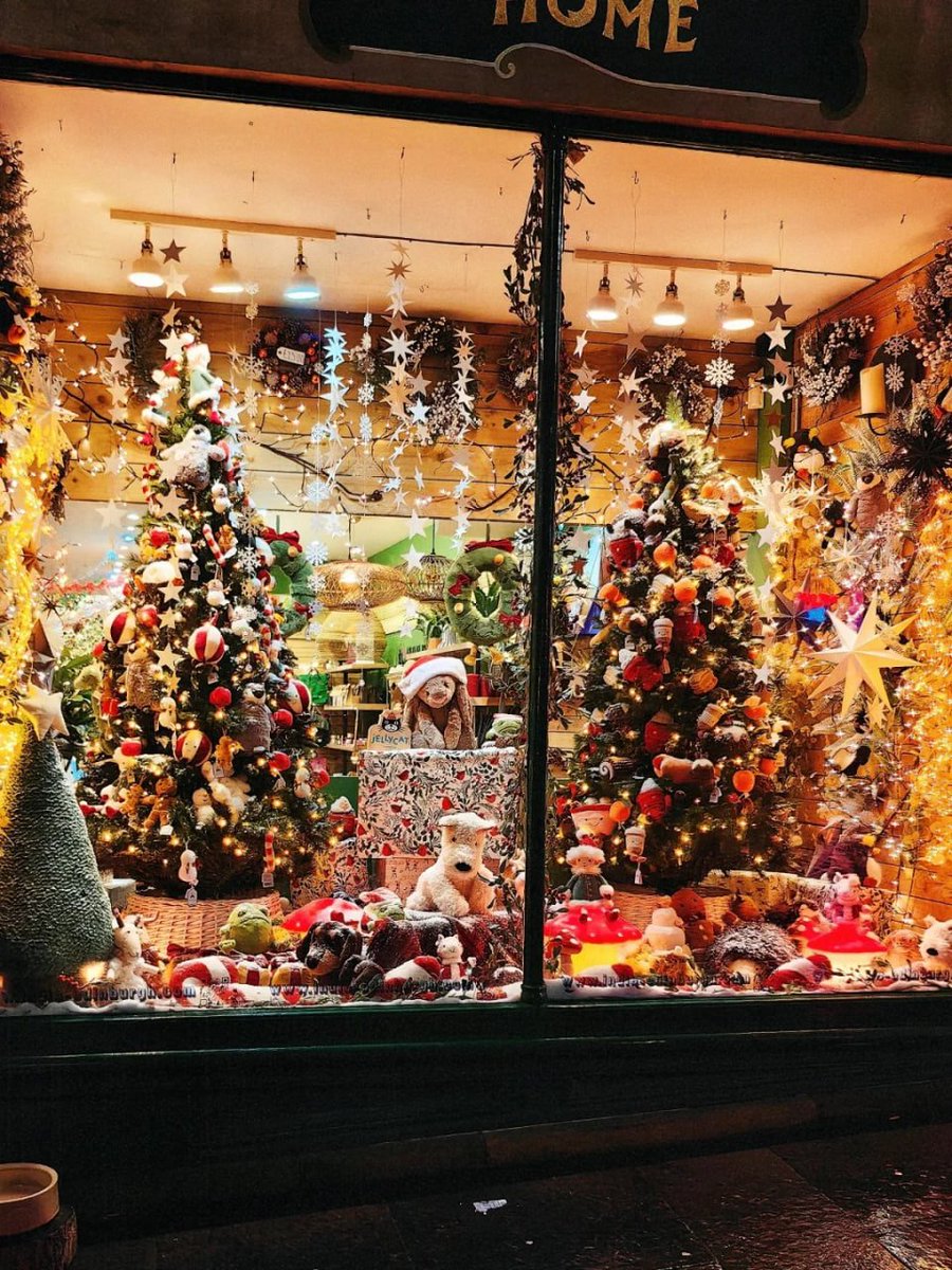 komplex06's tweet image. The magic of Christmas lights up our city, turning every corner into a winter wonderland. ✨🎄