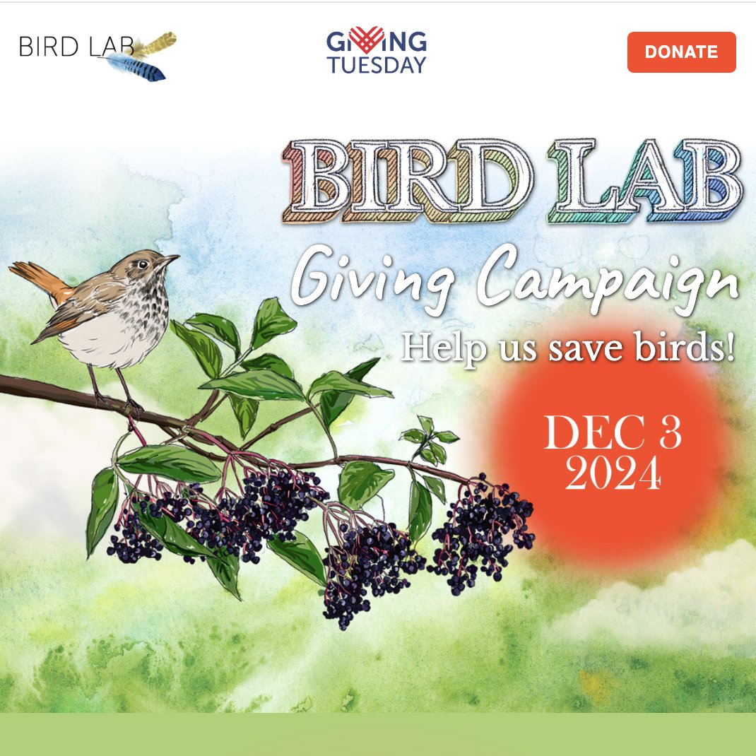 Claire Nemes @cenemes.bsky.social tweet media