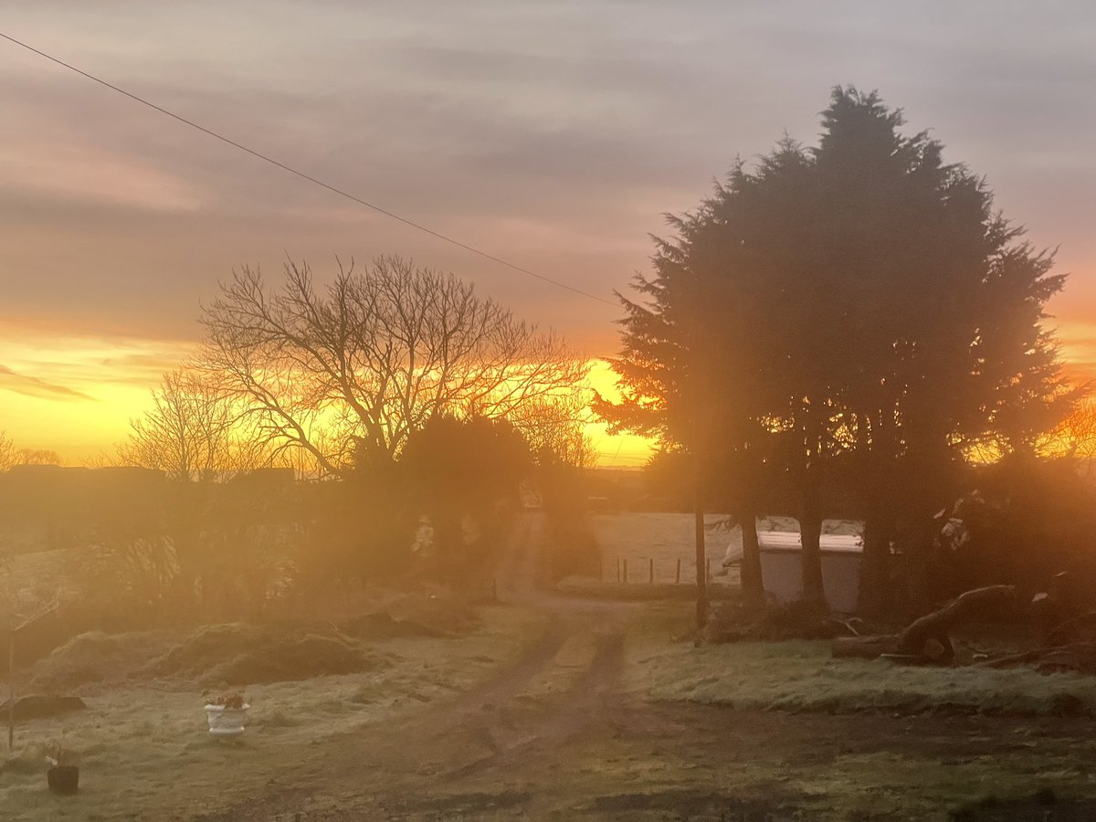 Christine Watson tweet media