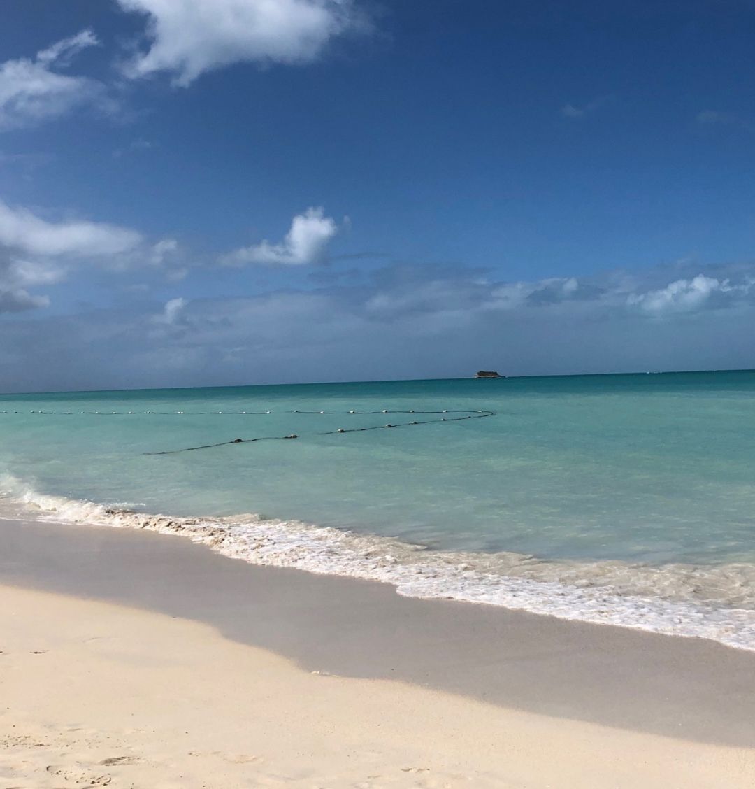 Cruise Lifestyle ⚓️ tweet media