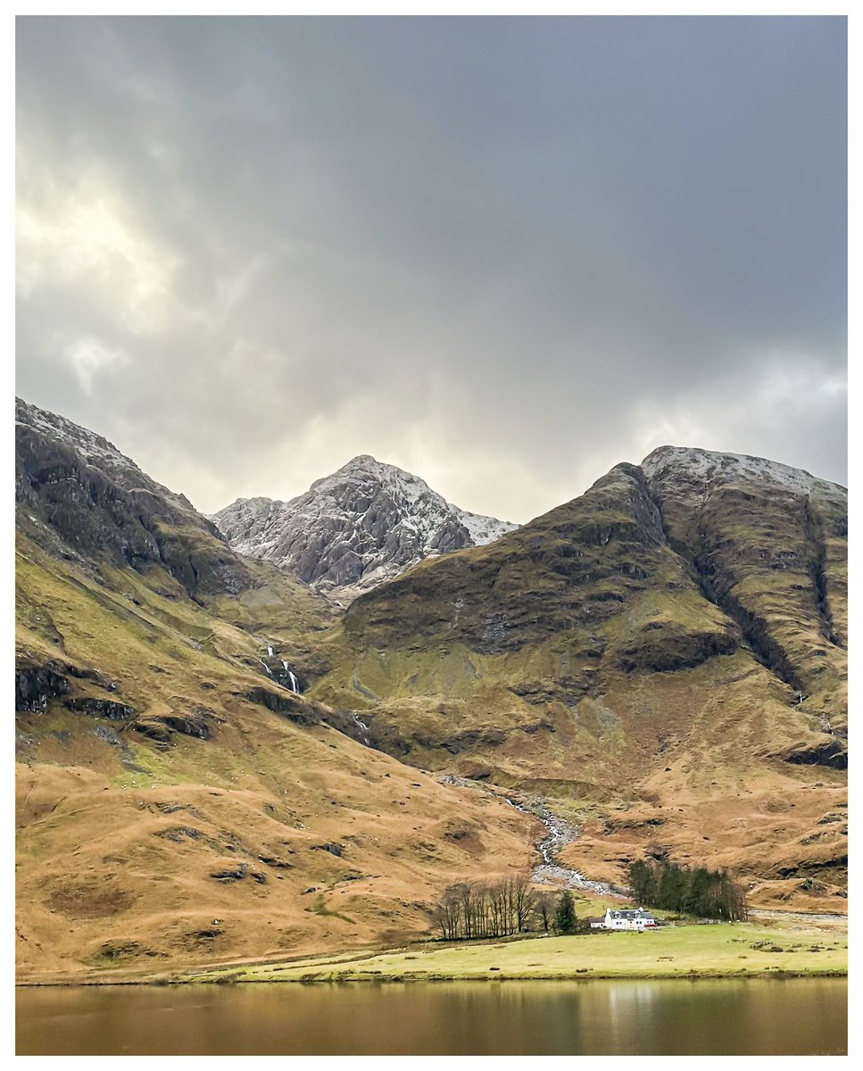 Shaun Mills tweet media