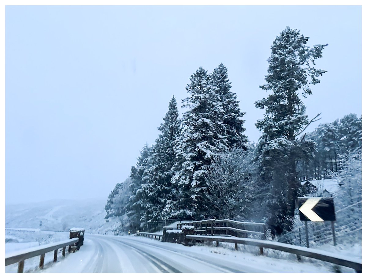 Shaun Mills tweet media