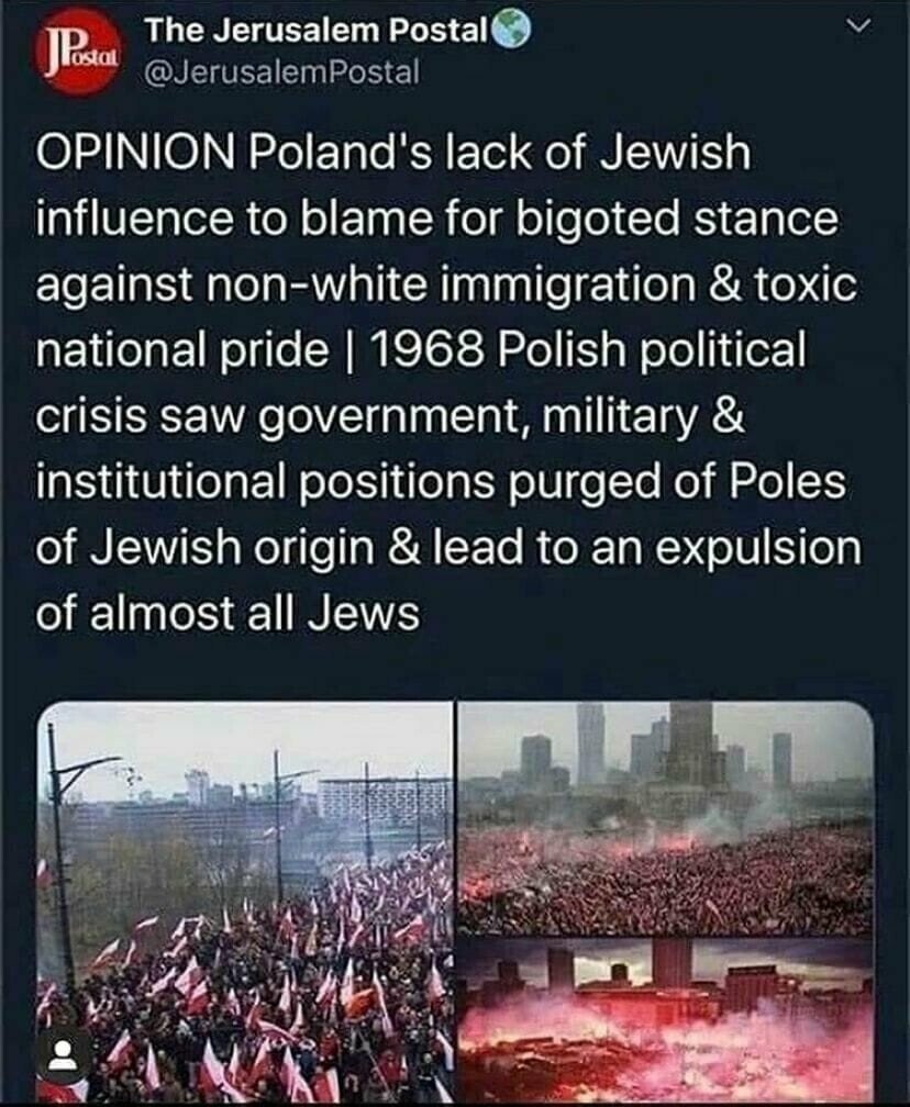 Sam Parker 🇺🇲 tweet media