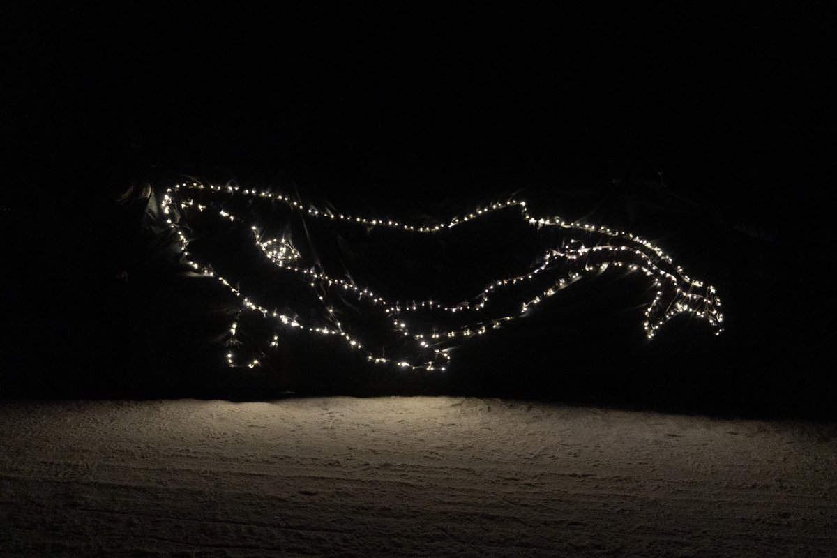 Sea Shepherd France tweet media