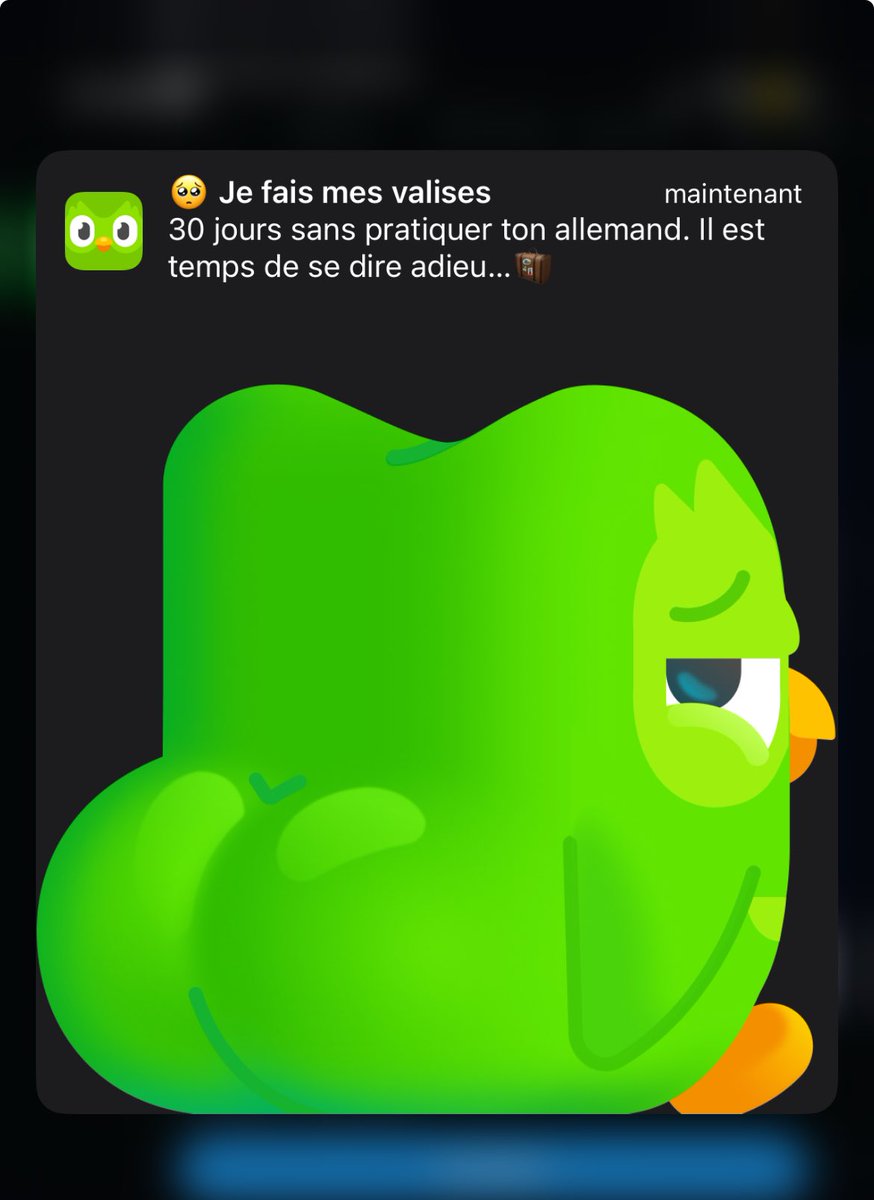 k31251a's tweet photo. duolingo sous BBL qui me fait du chantage affectif c'était pas dans mon bingo 2024 https://t.co/HywFg4E4TZ