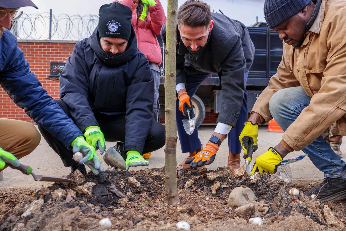 Rise Light & Power tweet media