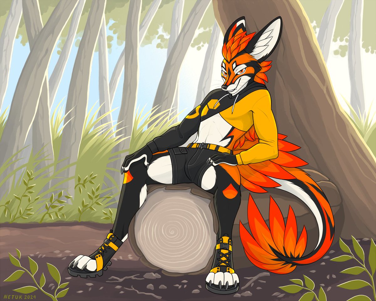 Netu 🦊 tweet media