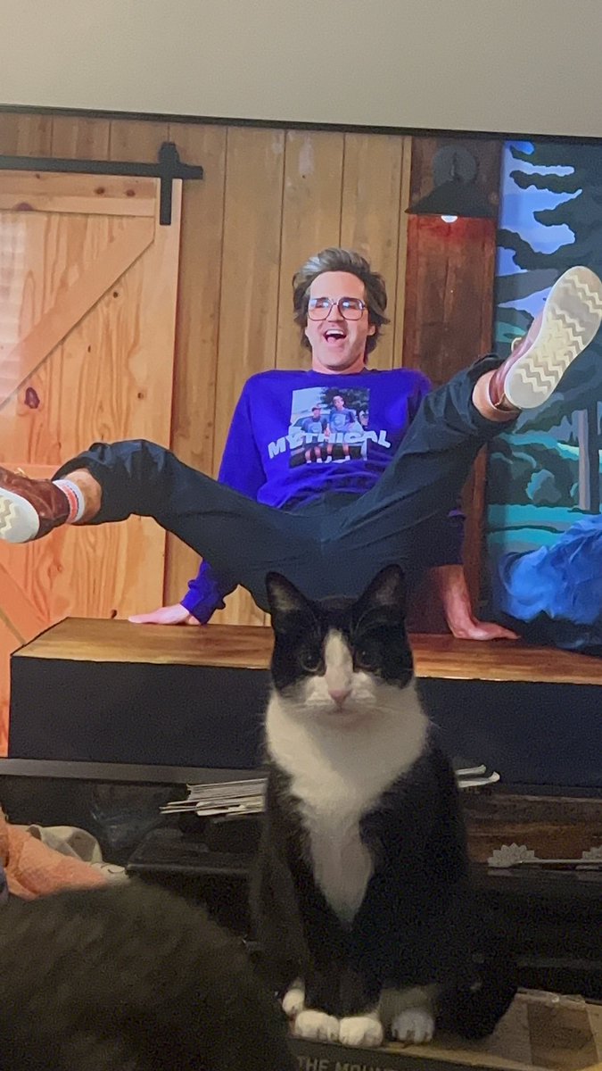 nikki3warrior's tweet photo. My cat thought this would be in appropriate so she blocked the view! 
@Mythical @LinkNeal @rhettmc #GMM #MythicalBeast #Mythical #rhettandlink https://t.co/nNcwpugks4