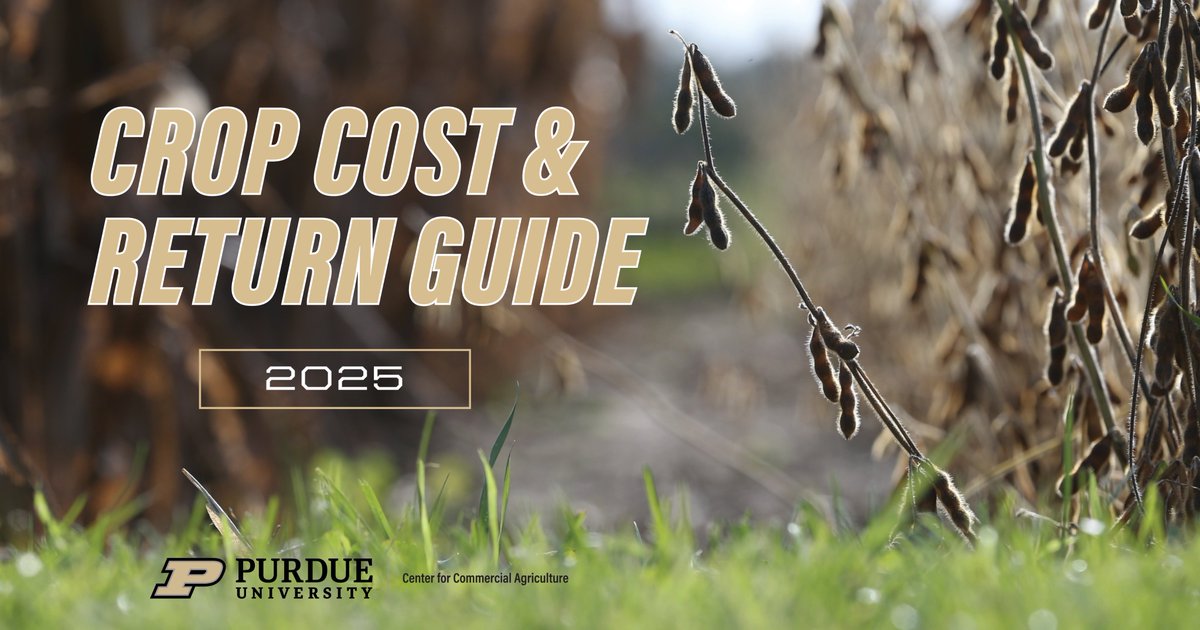 Purdue Extension (@purdueextension) on Twitter photo The 2025 <a href="/PUCommercialAg/">Purdue Center for Commercial Agriculture</a> Crop Cost & Return Guide is available! This free resource can help you project financials for the coming cropping year. ag.purdue.edu/commercialag/h… The 2025 <a href="/PUCommercialAg/">Purdue Center for Commercial Agriculture</a> Crop Cost & Return Guide is available! This free resource can help you project financials for the coming cropping year. ag.purdue.edu/commercialag/h…