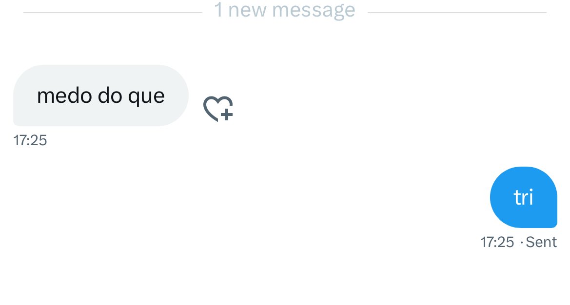 meu 2024 resumido numa foto .