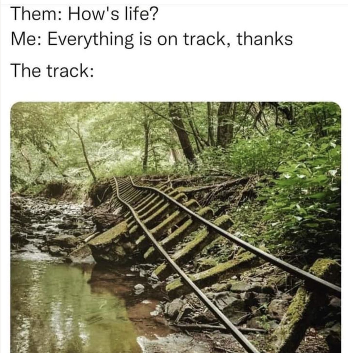 ForceMediaHQ's tweet image. 'Its been a rough week'
- me at the end of Tuesday🤣🫣

#forceradio #militaryhumour #veterans