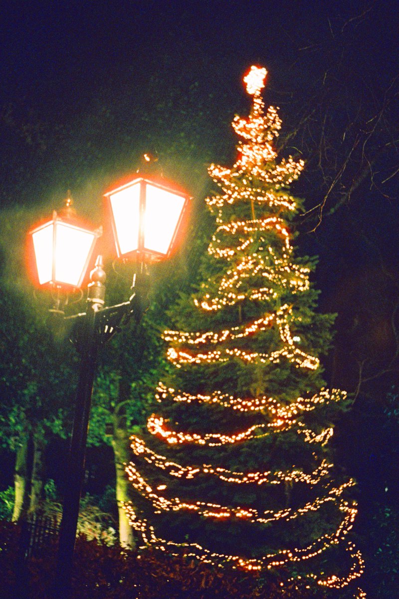 Rhys Robert Harper tweet media