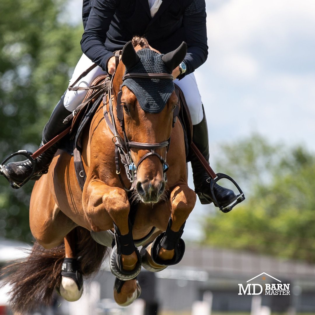 MDBarnmaster's tweet photo. Whether you're into show jumping or racing, MD Barnmaster barns meet all your equestrian needs! 🌿 #HorseBarns #MDbarnmaster #buildabetterbarn https://t.co/S4jGkSKU9u