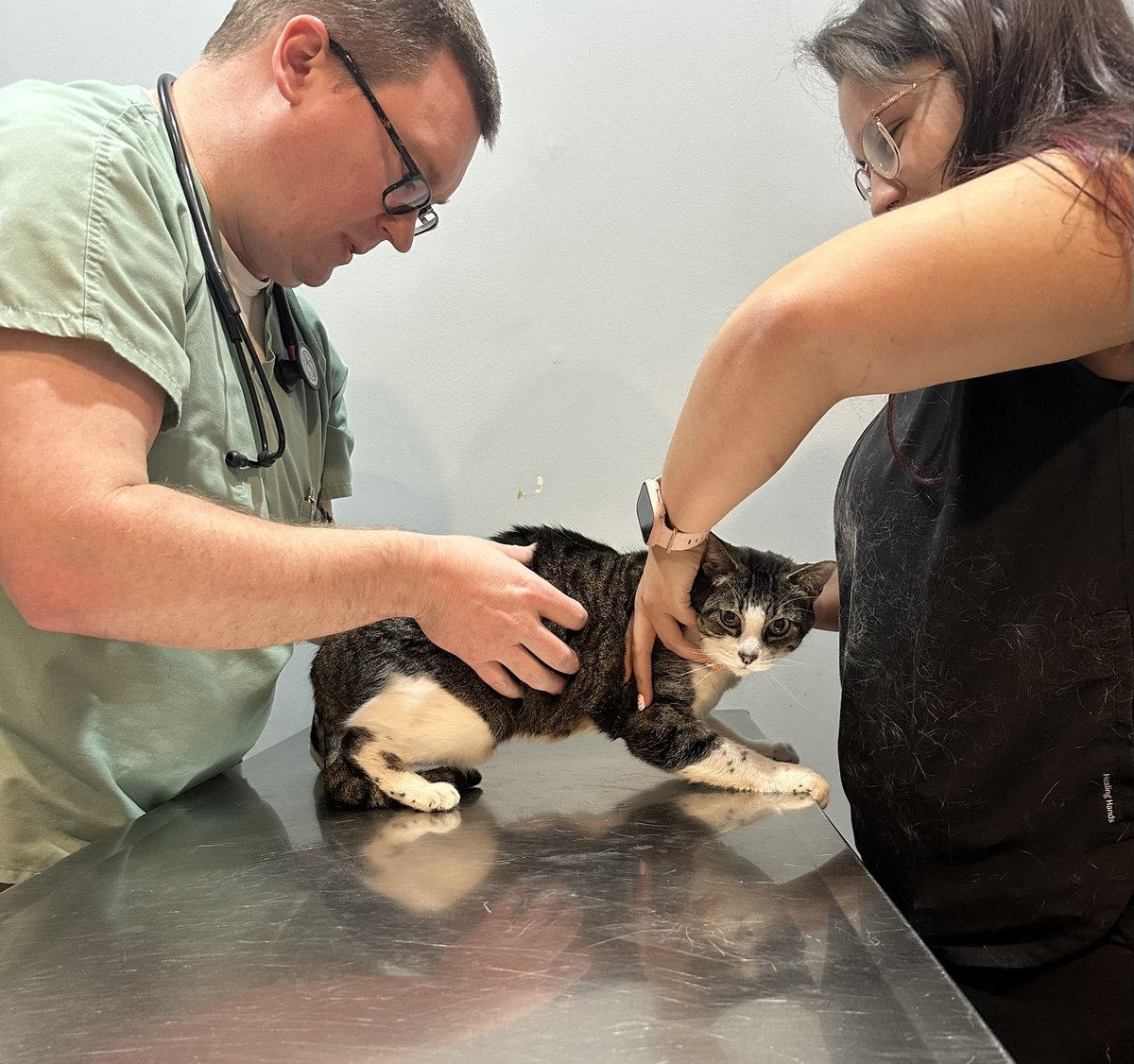 Tricia Helfer tweet media