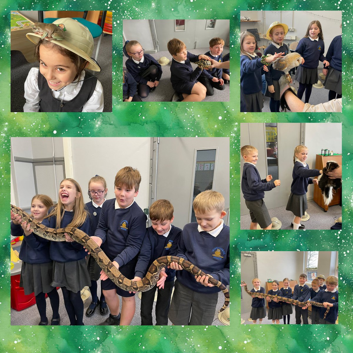 P5 enjoyed a visit from Allan <a href="/WeeCrittersNI/">Wee Critters</a> today, funded by <a href="/lisburnccc/">LCCC</a> 🐸 🐍 🐢 🦉 🦨 Thank you 😊