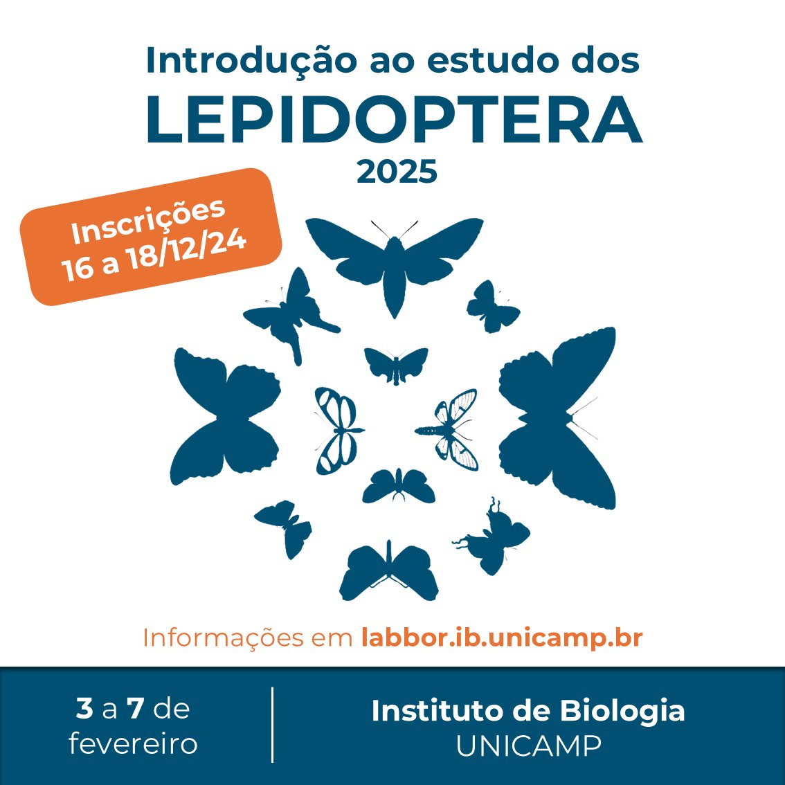#cursolep2025 vem aí! 🦋🧡

2025 mal chegou e já vem trazendo alegrias 🥹 Vem com a gente para uma semana com muita informação sobre borboletas e mariposas!

Informações: labbor.ib.unicamp.br/?page_id=5072

LEP'S GO 🦋