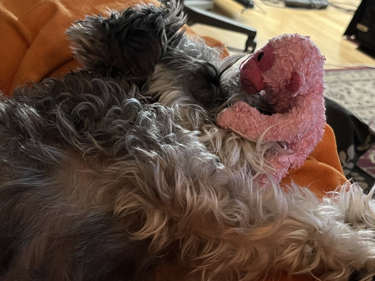 DankladDave (@dankladd) on Twitter photo 