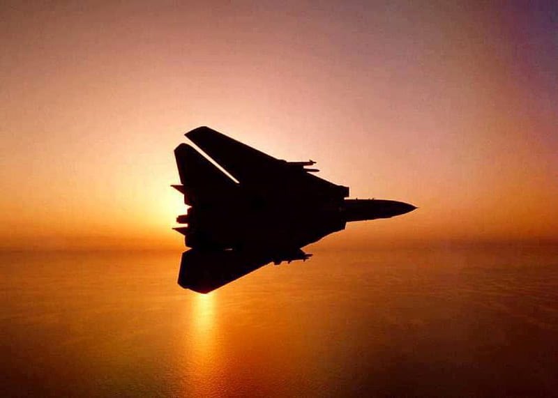 #F14 #Tomcat… Isn’t it one of the most beautiful aircrafts ever… 🥰