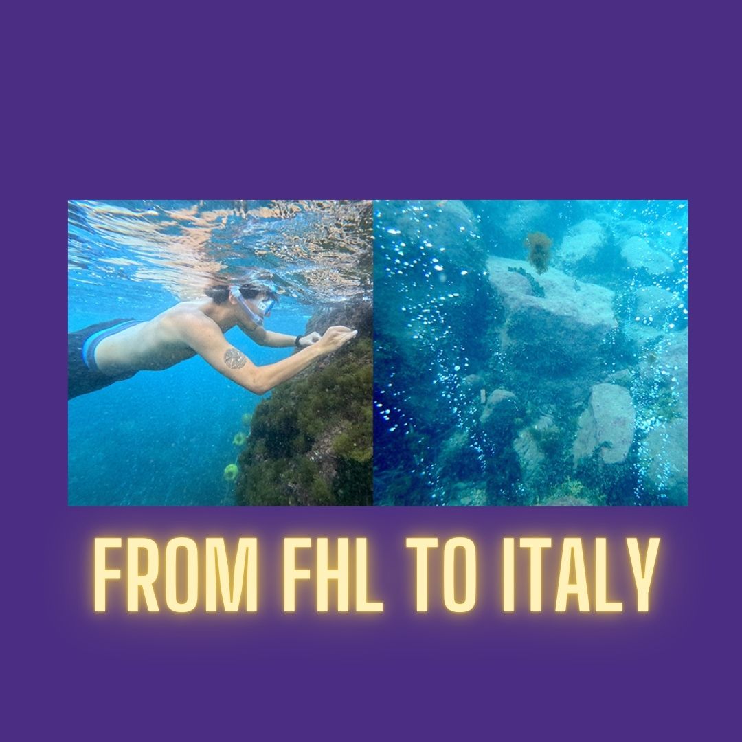 fhl.uw.edu/about/news-and…