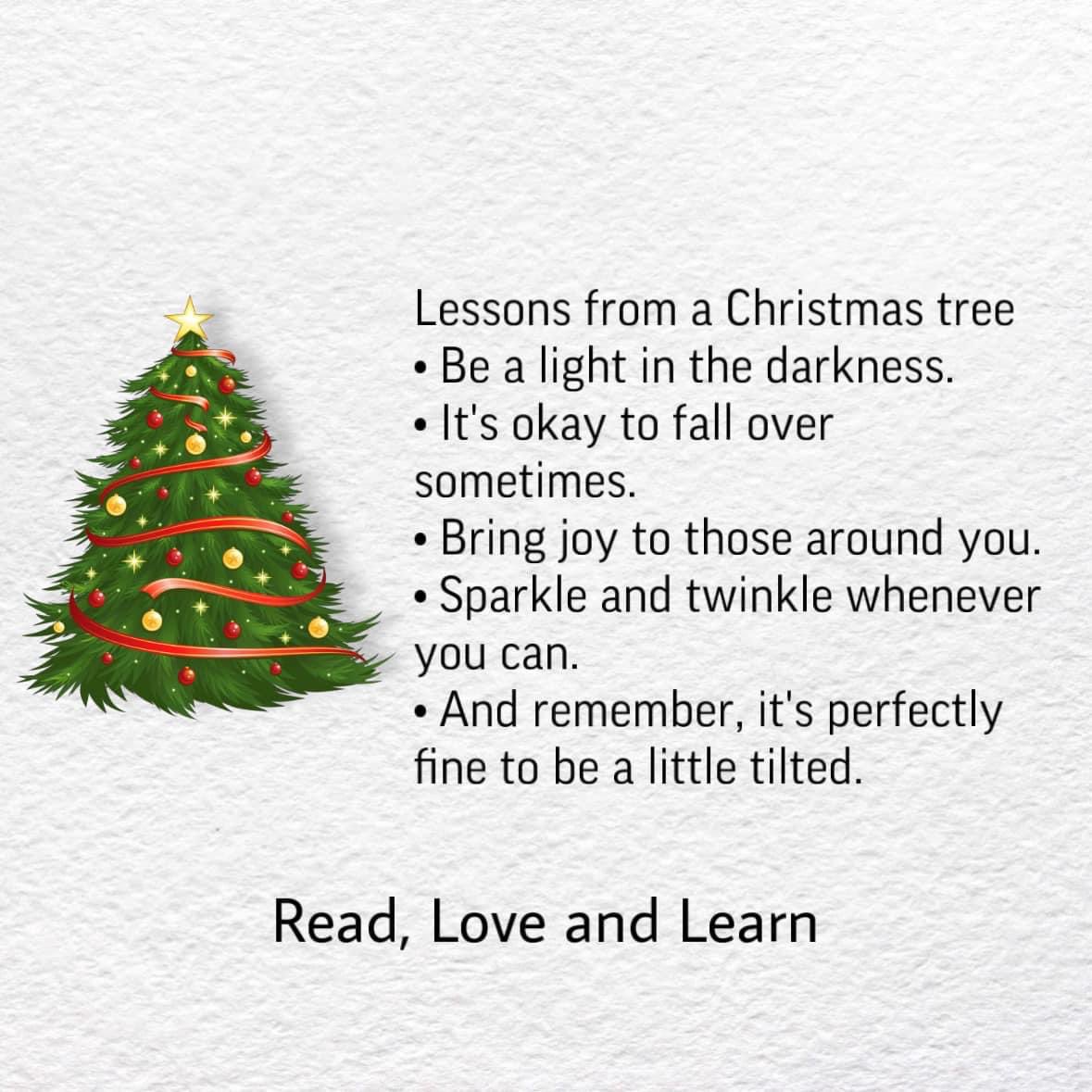 fidsta77's tweet image. The wise🎄tree once said…