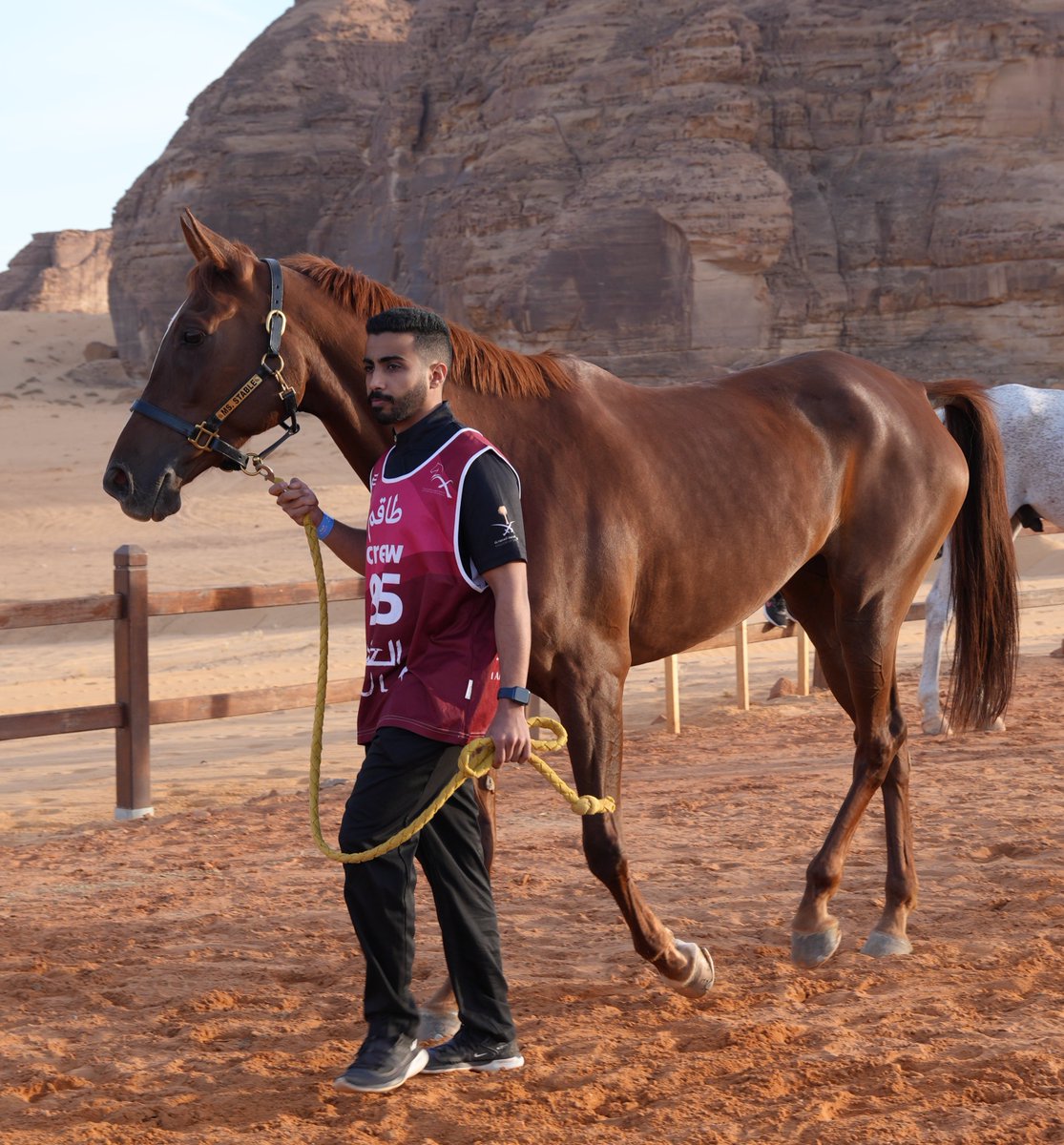 أشبهه باللي عسيفٍ من الخيل تلعب وانا حبل الرسن في يديّا . 🎶🤍