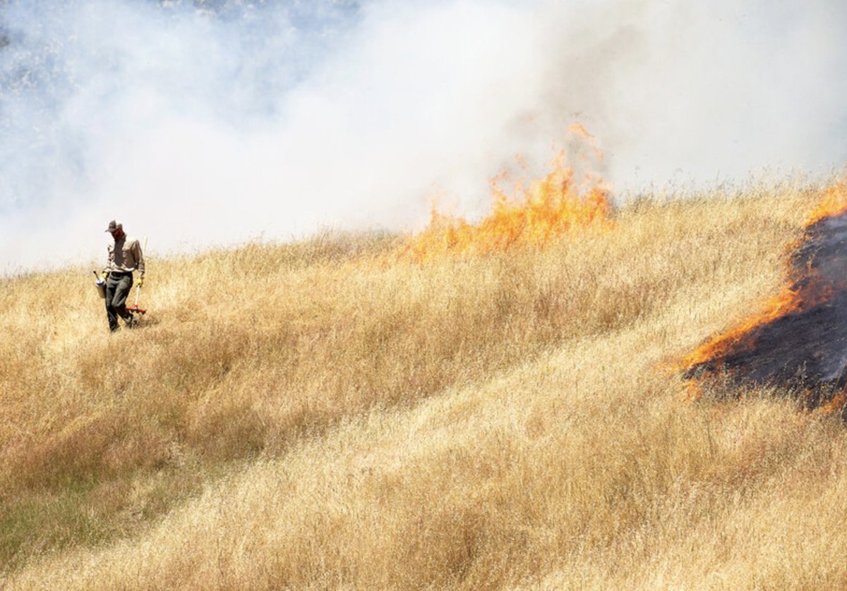 Ag&Natural Resources tweet media