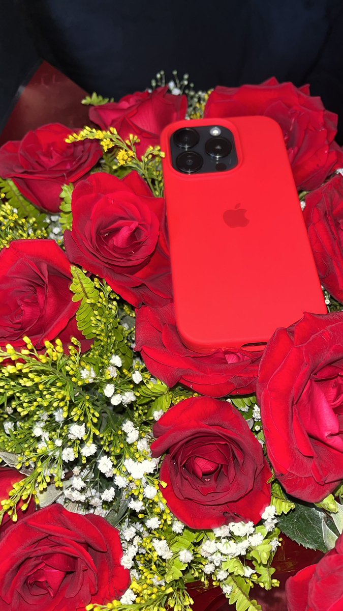 jessicaVictorhg's tweet photo. Nunca ganhei flores, hoje ela chegou com iPhone 15 e uma moto! Só gratidão! Feliz demais que presente!💕😍 https://t.co/DmEax74HUu