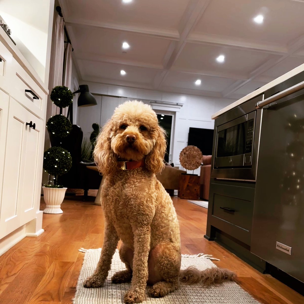 People ask how do I keep my well-being in check. 👇🏾