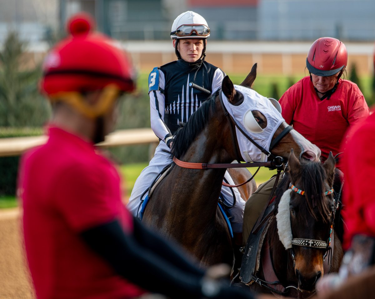 RobertYates1982's tweet photo. @JosephBealmear before his Feb. 9, 2024, @OaklawnRacing victory aboard Notorious Sixohtwo. Oaklawn's 2023-2024 champion apprentice jockey said he's targeting a Dec. 20 return after being injured in an Oct. 2 car accident. Now getting on horses at Oaklawn. https://t.co/H6HWn4zxVe