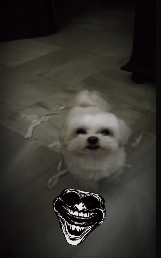 Pedryck#1 👑 tweet media