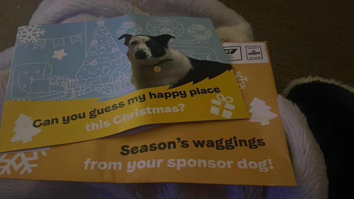 Claire Crossfield tweet media