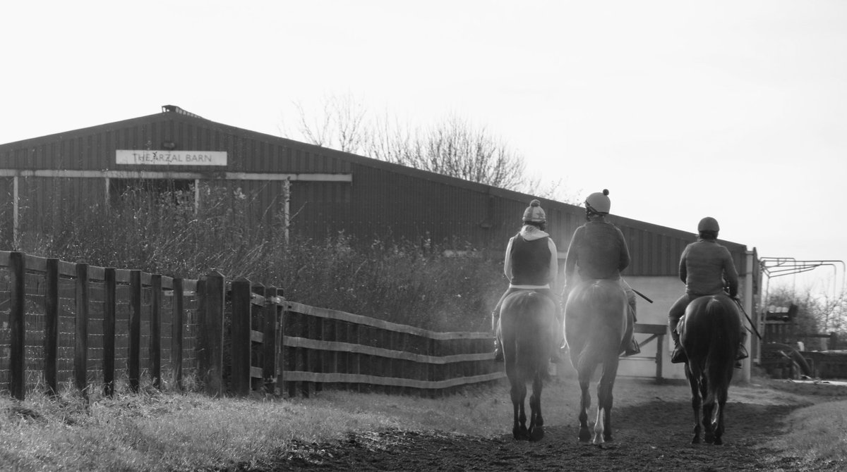 🌟JOBS AVAILABLE - With Accommodation🌟

We are looking for new members of staff to join our busy breaking-in &amp; pre-training yard based near Lambourn. 

Please get in touch for more info and PLEASE SHARE:

Call Harry 📞 07734 388357

Or email office@harrywhittington.co.uk