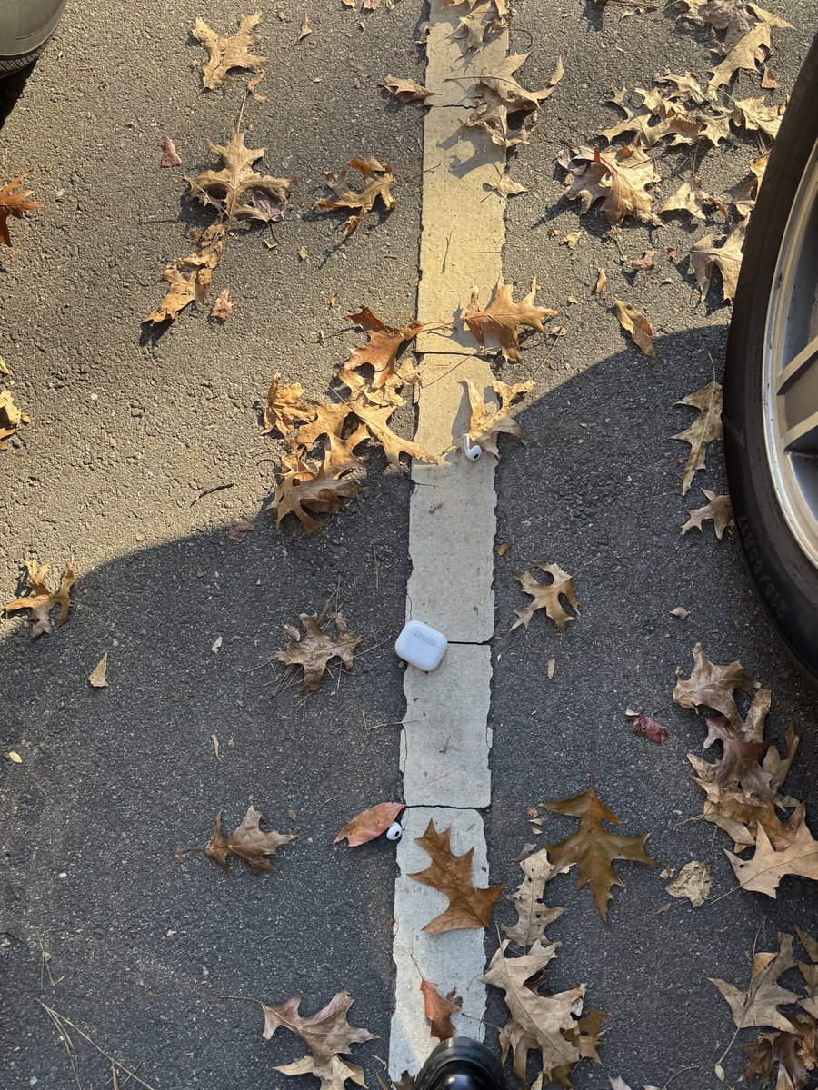 left lane champiun tweet media