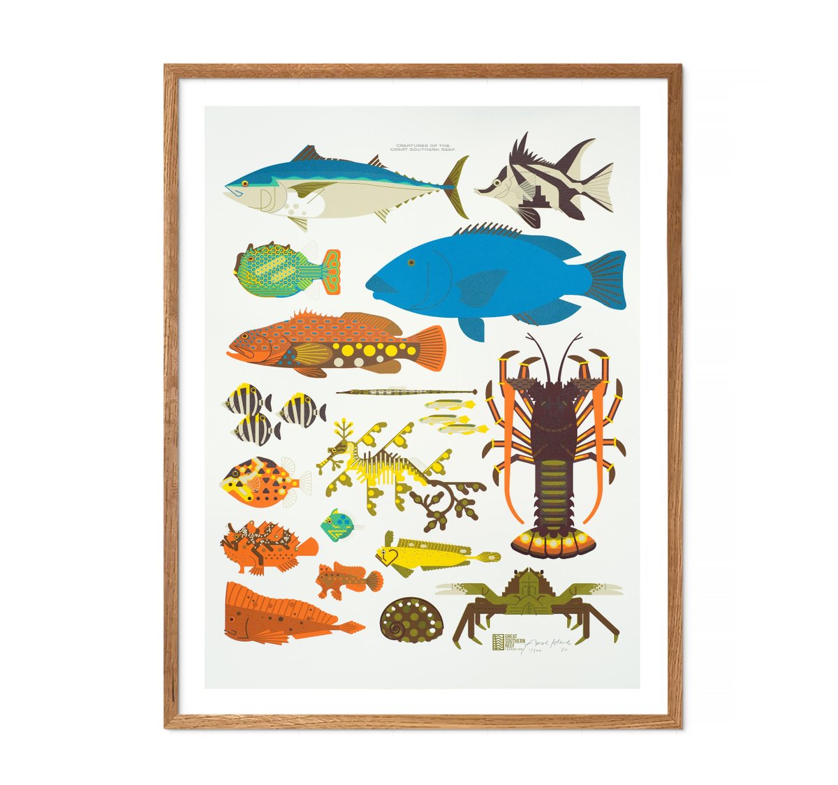 🌊 GIVEAWAY! 🌊

Win a signed print of Iconic Species of the Great Southern Reef by artist Amok Island! 🐚🎨

To enter:
1️⃣ Like &amp; Retweet
2️⃣ Tag an ocean-loving friend (1 tag = 1 entry!)
Entries close Dec 9. Winner announced in our stories! 💙

greatsouthernreef.com/shop