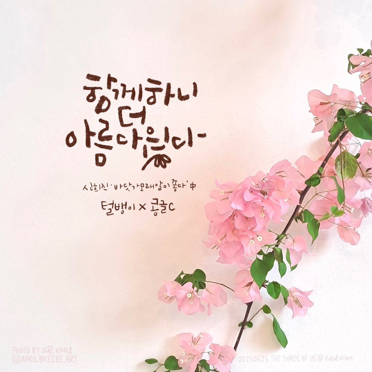 AB_KONG🍳🌸🐞 tweet media