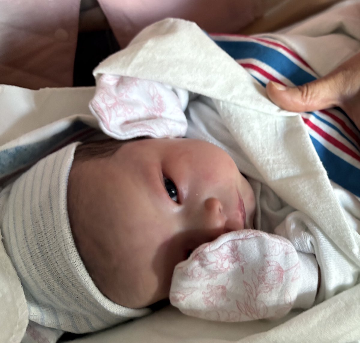 HeathMayo's tweet image. Introducing our precious baby girl, Adrienne. 🩷 Born happy and healthy on December 2 to the luckiest parents in the world.