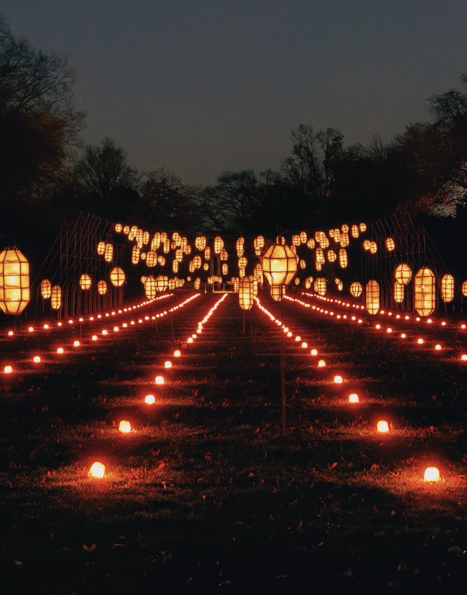 Zhang Yao tweet media