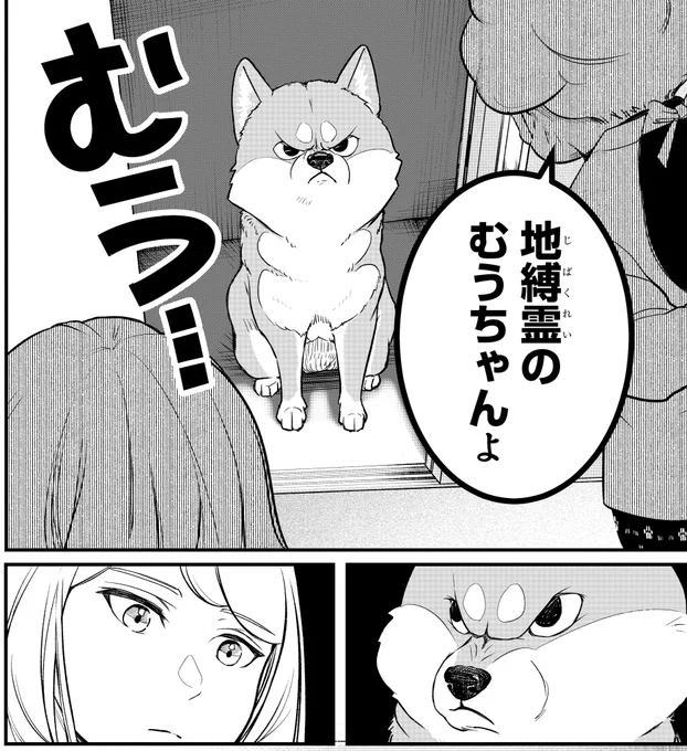 「シバつき物件」第1話まるごと試し読み🐕(0/19)
#漫画が読めるハッシュタグ #シバつき物件 
