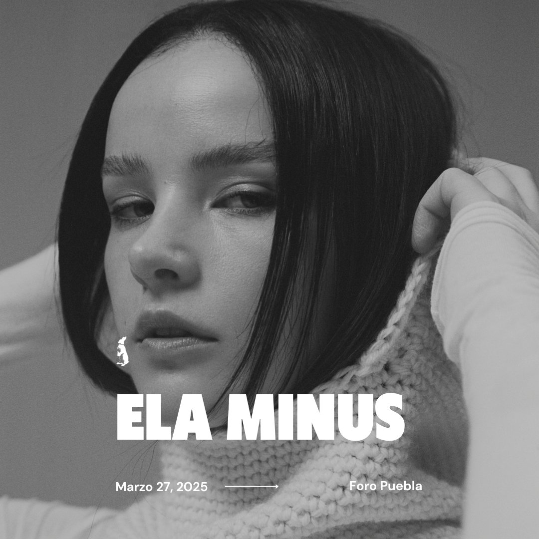 Conejos Films tweet media