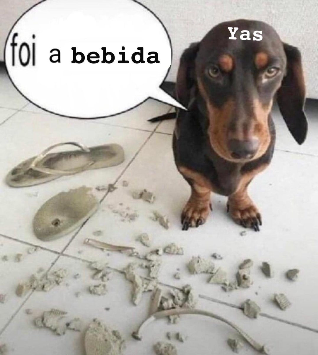 urqcodez's tweet photo. #teamyas gente! https://t.co/fp4VC1gb1j
