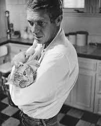 caldmurchfield's tweet photo. #FelineFilms The Sandbox Pebbles https://t.co/OSyCytk3qK