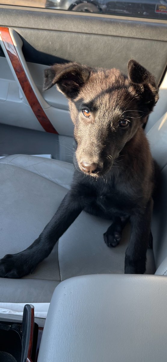 INCENSUM - The Catholic Cigar Company tweet media