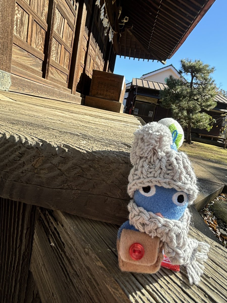 mo5min5's tweet image. お散歩休憩　日向ぼっこ