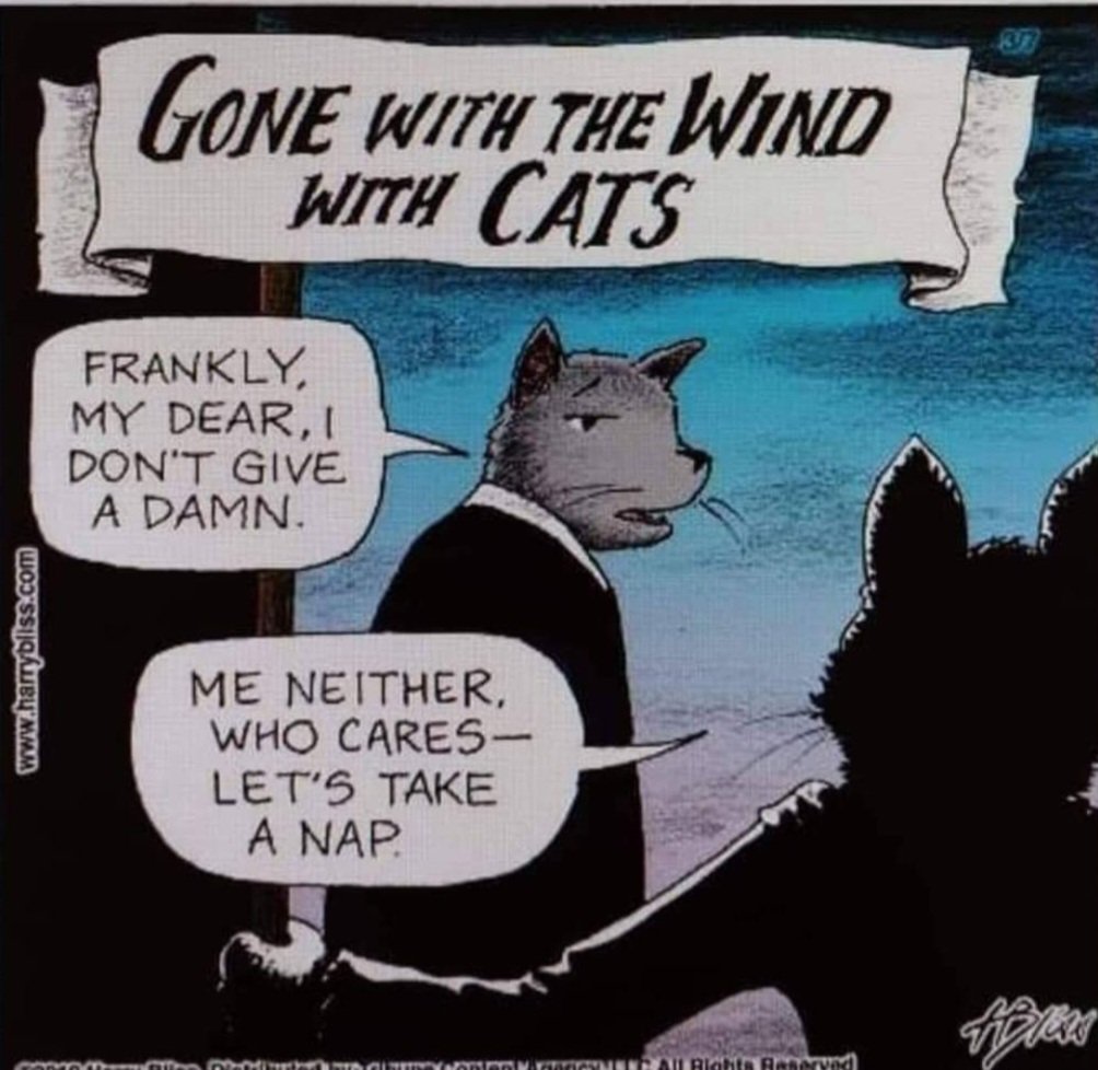LetsTagIt's tweet photo. #FelineFilms
Gone With The Wind..Cat Style!πΉπ https://t.co/UBV5NbdKrm