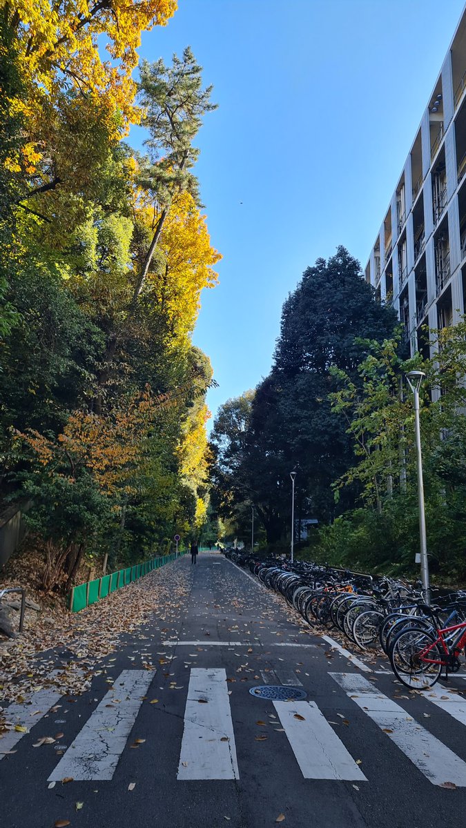 Fall vibes outside our department!  <a href="/NagoyaUniv/">Nagoya University</a> 
#autumninjapan