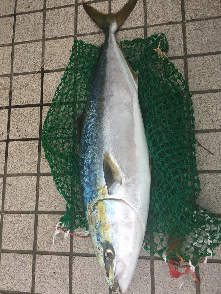 【ユーザーさんからの釣果情報】

すんごいです✨
--------------------------------
ちゃんと釣れます。アシストフックが標準で付いてくるのはありがたいですね。ただ、表面の塗装が剥がれるのが嫌なのでエポキシコーティングしてます。色々バリエーションがありますから大事に使っていきます。