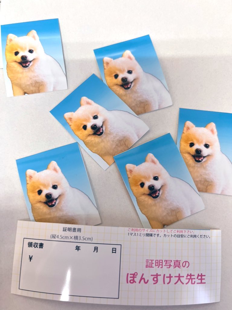 ぽんすけ大先生